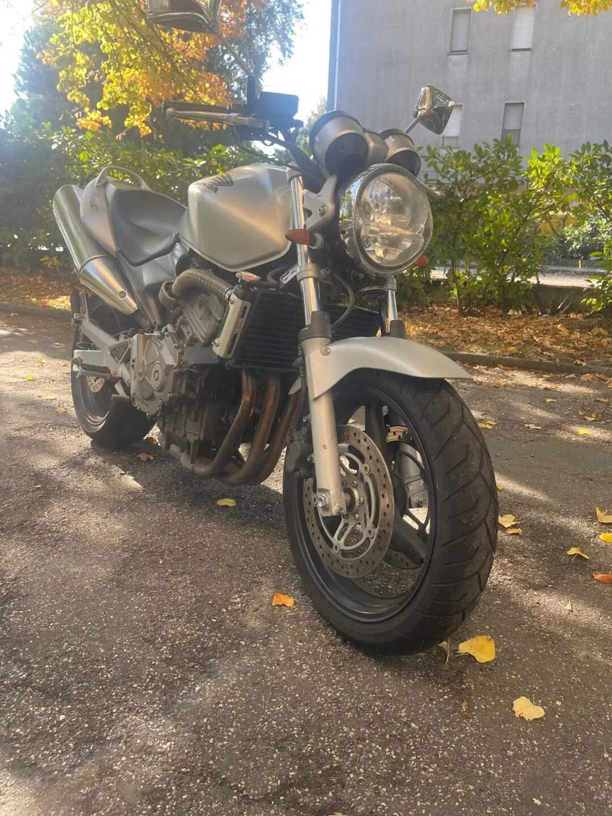 Honda Hornet 600 (2003 - 04)