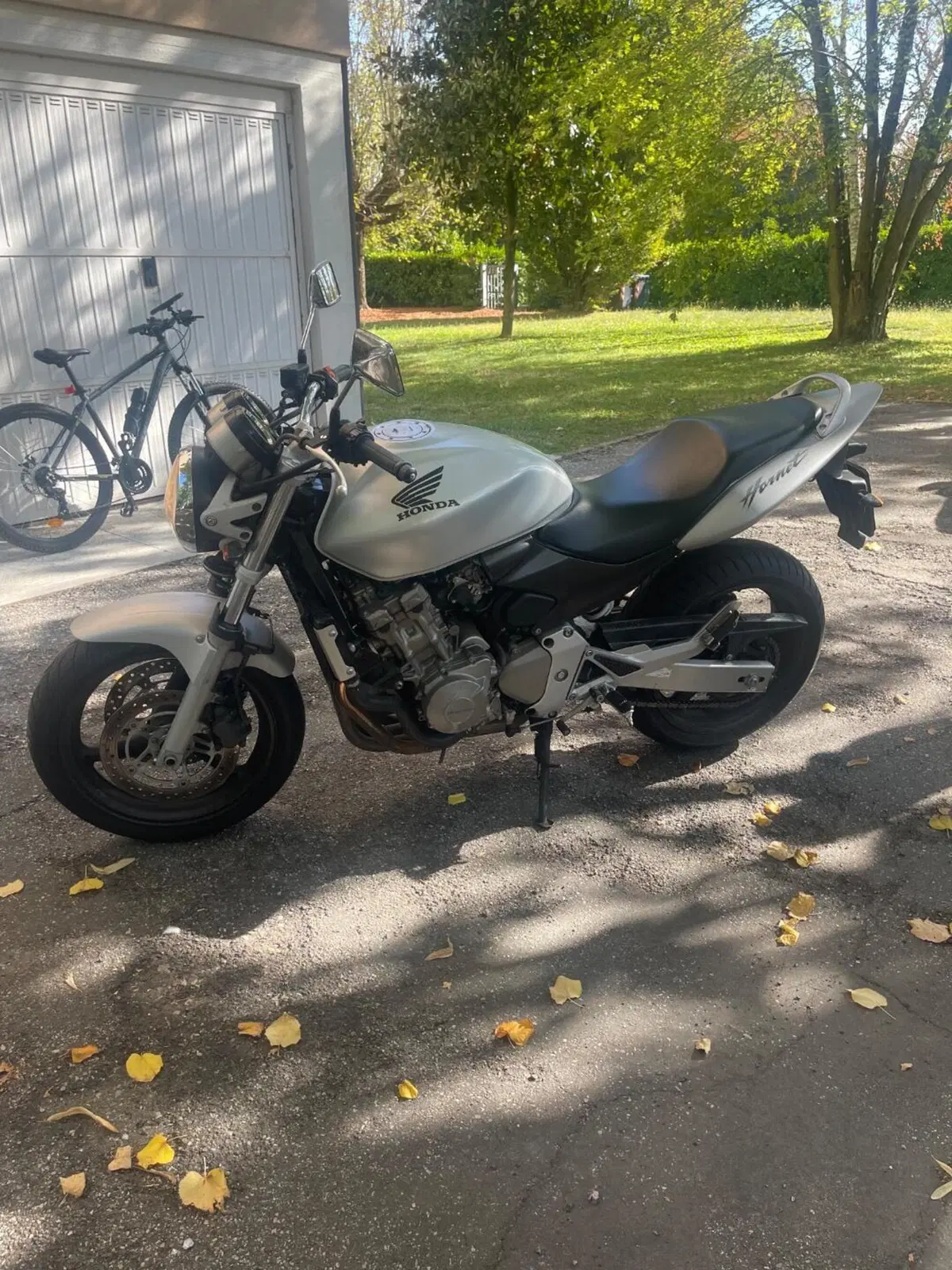 Honda Hornet 600 (2003 - 04) (3)