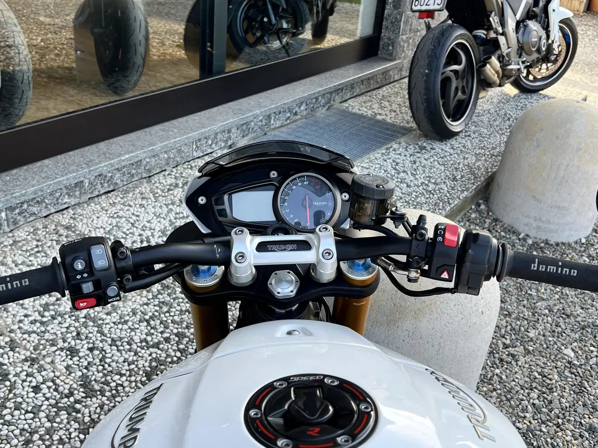 Triumph Speed Triple 1050 R ABS (2016 - 17) (8)
