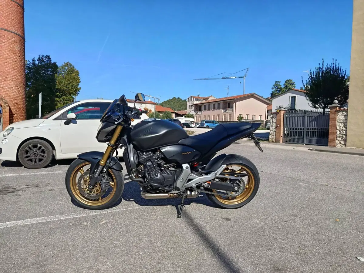 Honda Hornet 600 (2011 - 13) (2)
