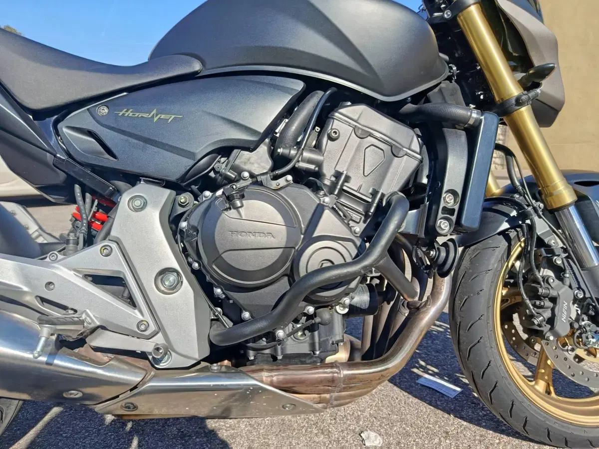 Honda Hornet 600 (2011 - 13) (3)