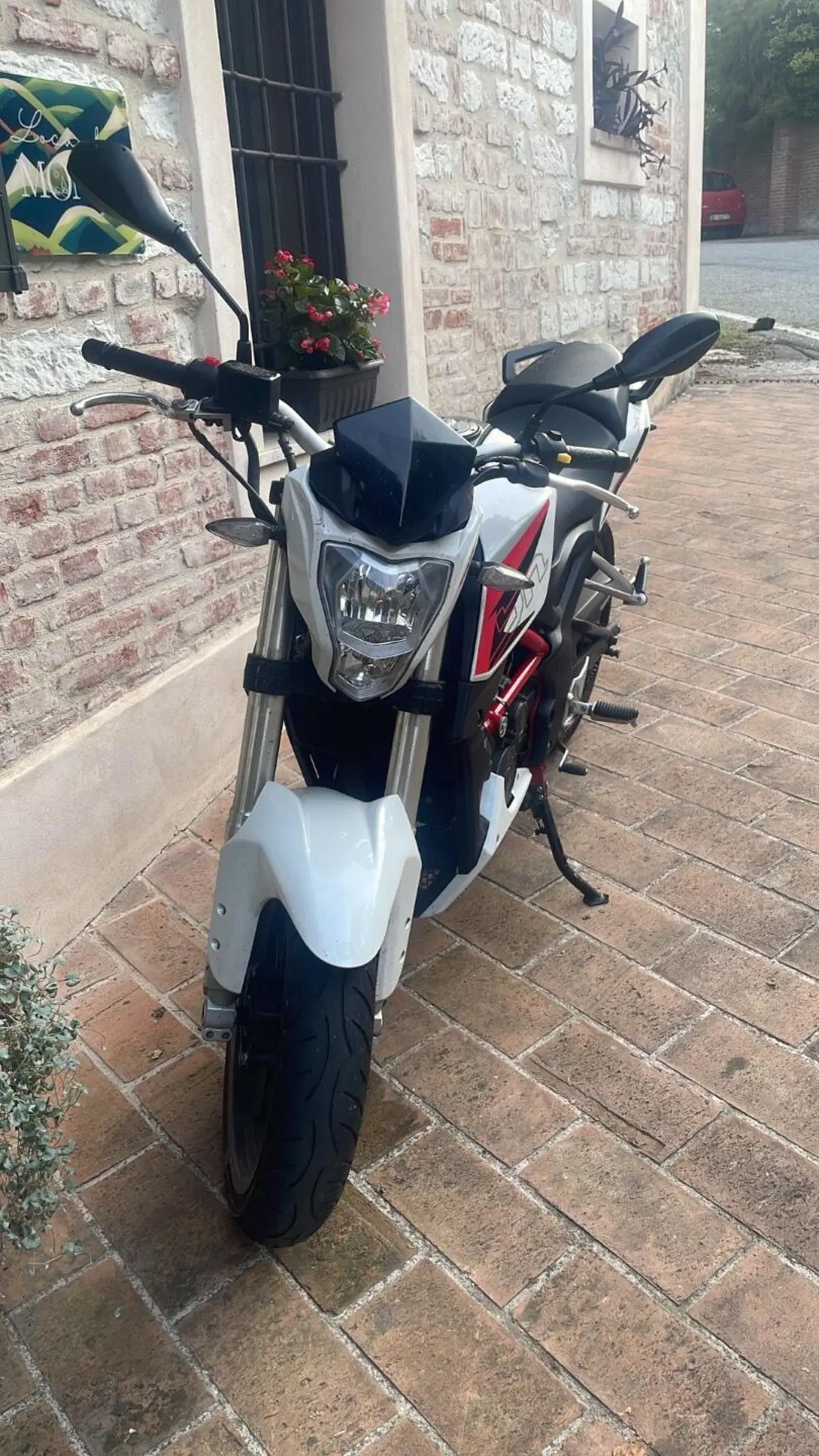 Benelli BN 251 (2017 - 20) (2)