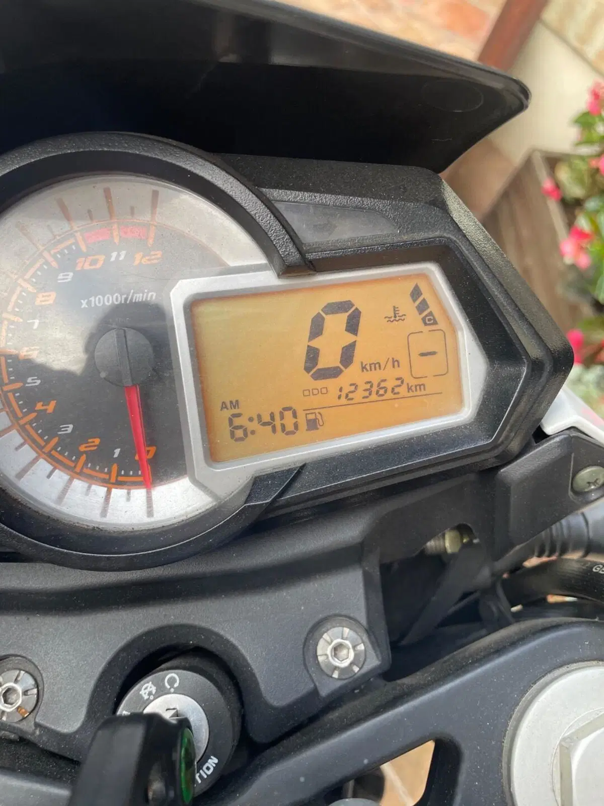 Benelli BN 251 (2017 - 20) (4)