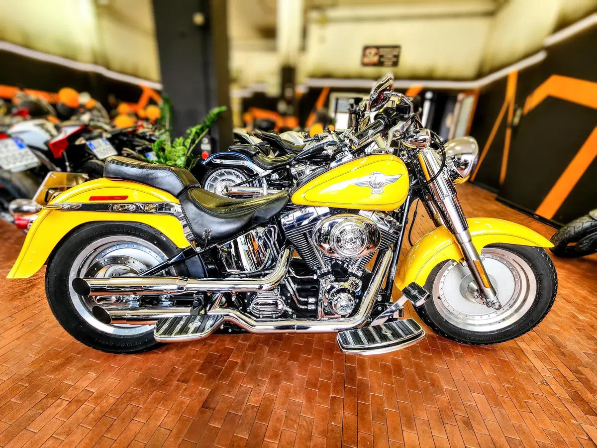 Harley-Davidson 1584 Fat Boy (2006 - 07) - FLSTF