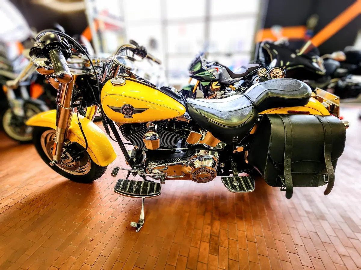 Harley-Davidson 1584 Fat Boy (2006 - 07) - FLSTF (2)