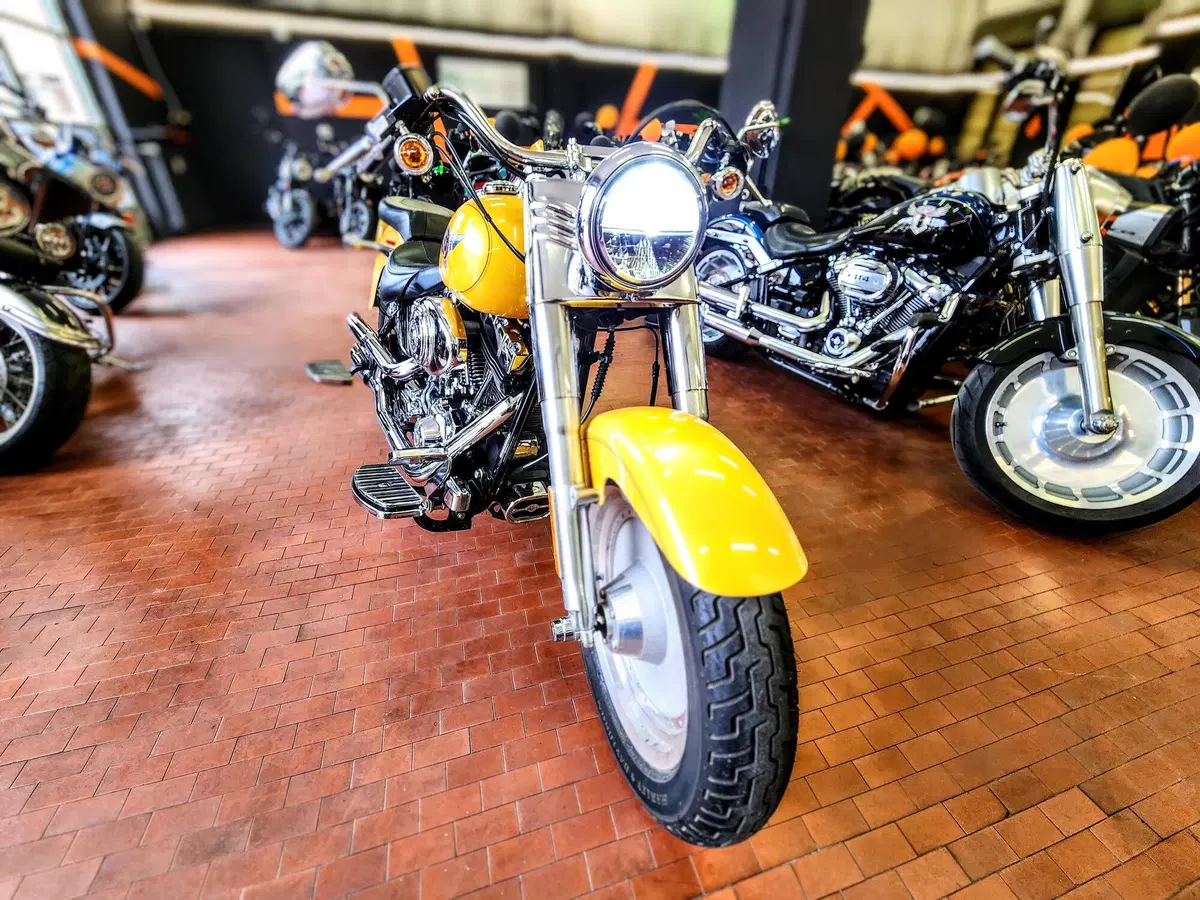 Harley-Davidson 1584 Fat Boy (2006 - 07) - FLSTF (3)