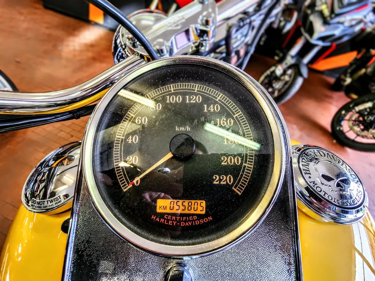 Harley-Davidson 1584 Fat Boy (2006 - 07) - FLSTF (5)