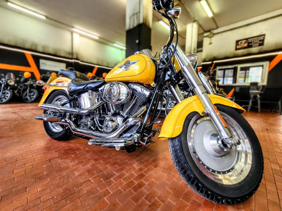 Harley-Davidson 1584 Fat Boy (2006 - 07) - FLSTF (6)