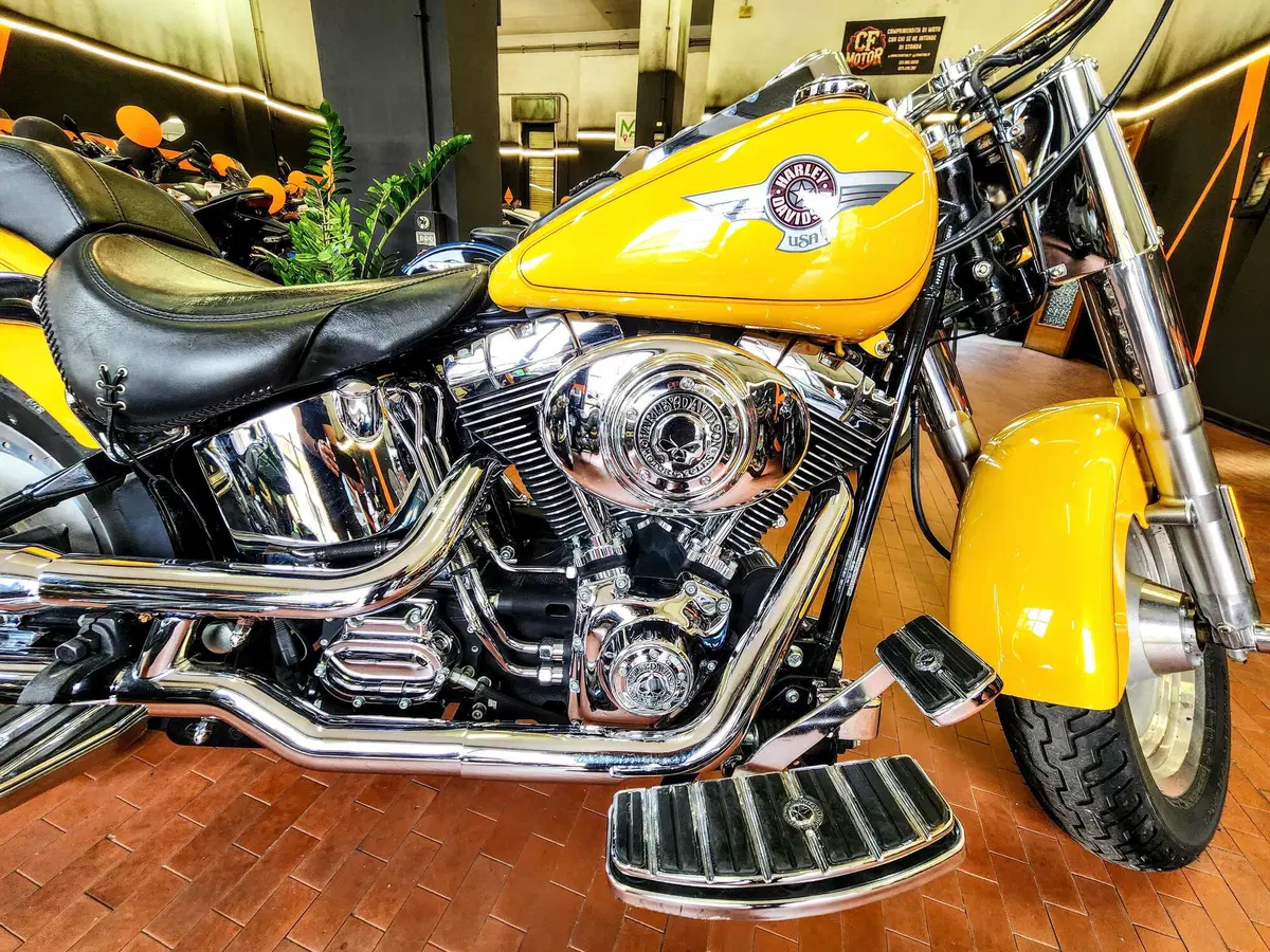 Harley-Davidson 1584 Fat Boy (2006 - 07) - FLSTF (7)