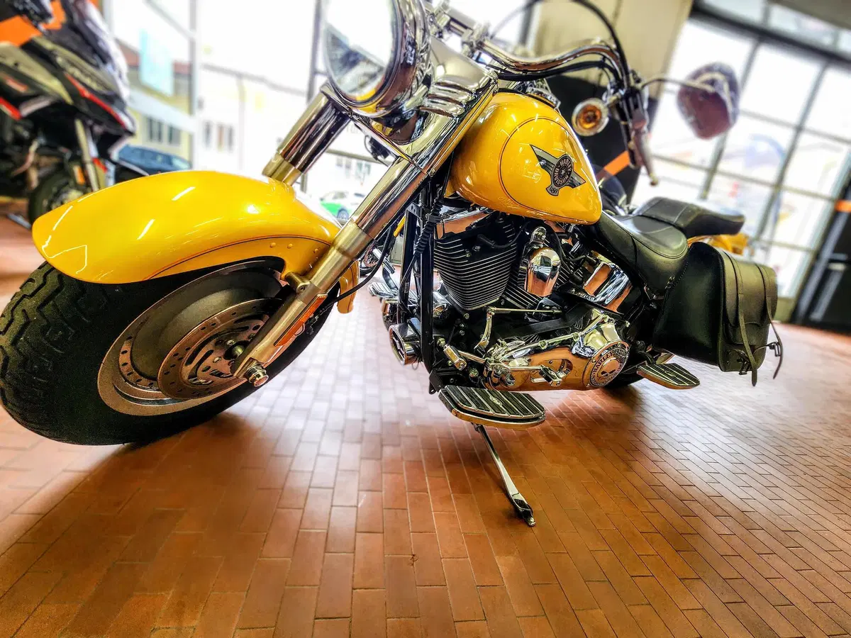 Harley-Davidson 1584 Fat Boy (2006 - 07) - FLSTF (9)