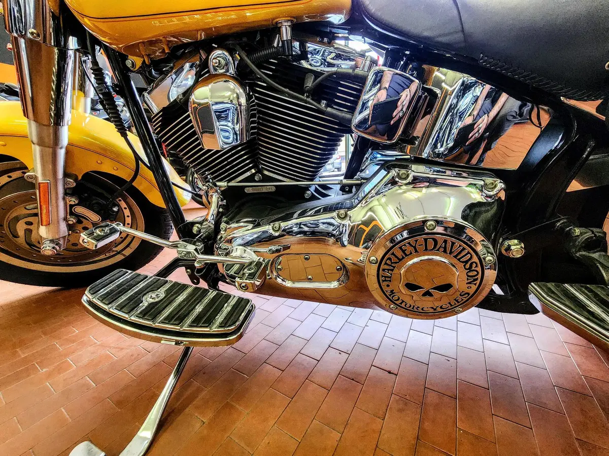 Harley-Davidson 1584 Fat Boy (2006 - 07) - FLSTF (10)
