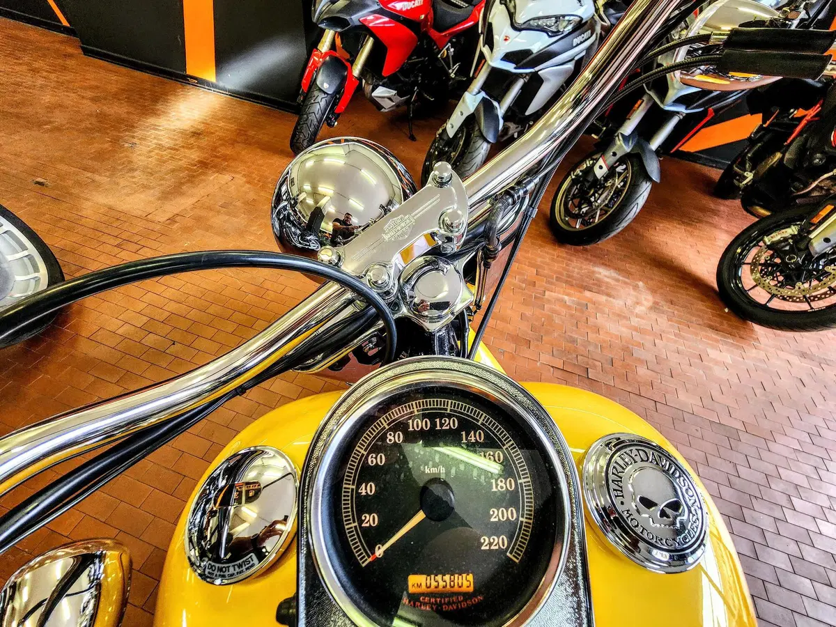 Harley-Davidson 1584 Fat Boy (2006 - 07) - FLSTF (12)