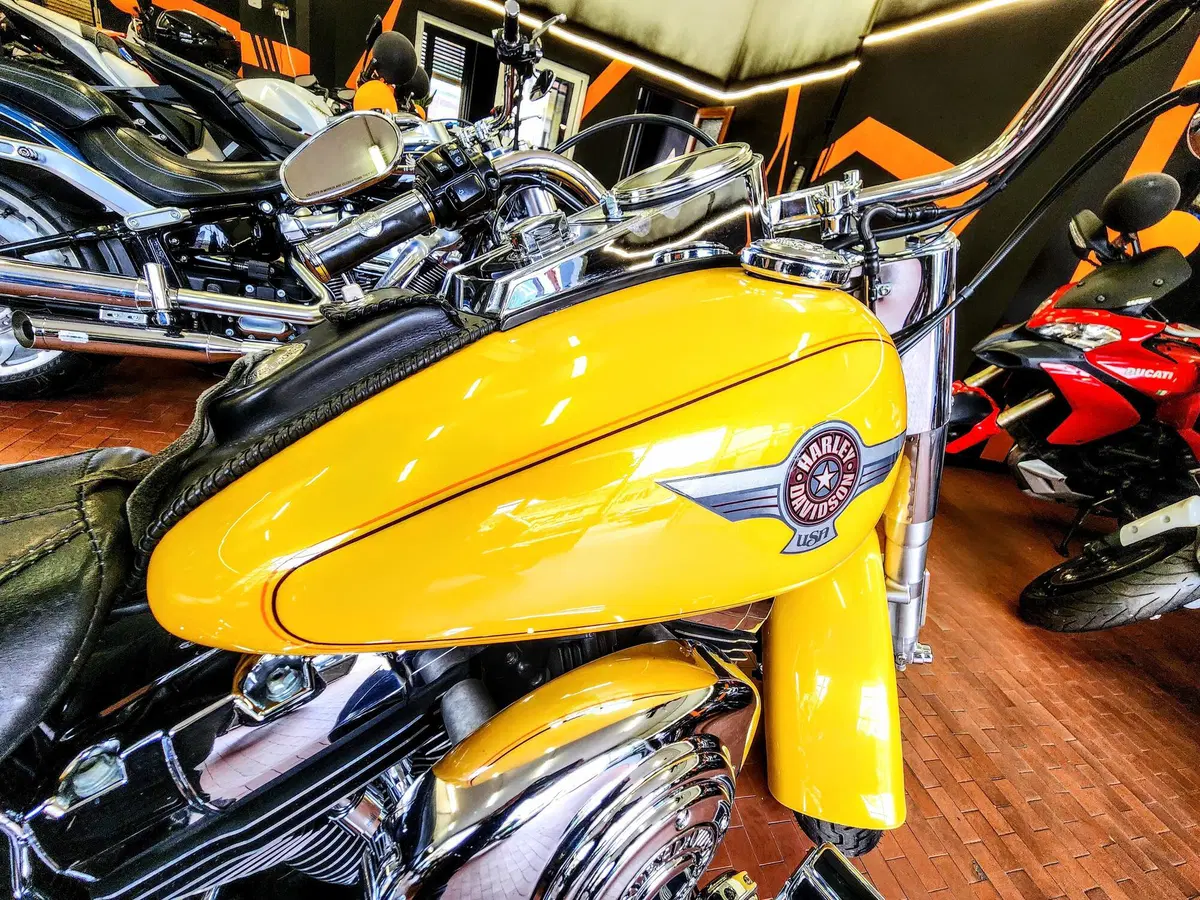 Harley-Davidson 1584 Fat Boy (2006 - 07) - FLSTF (15)