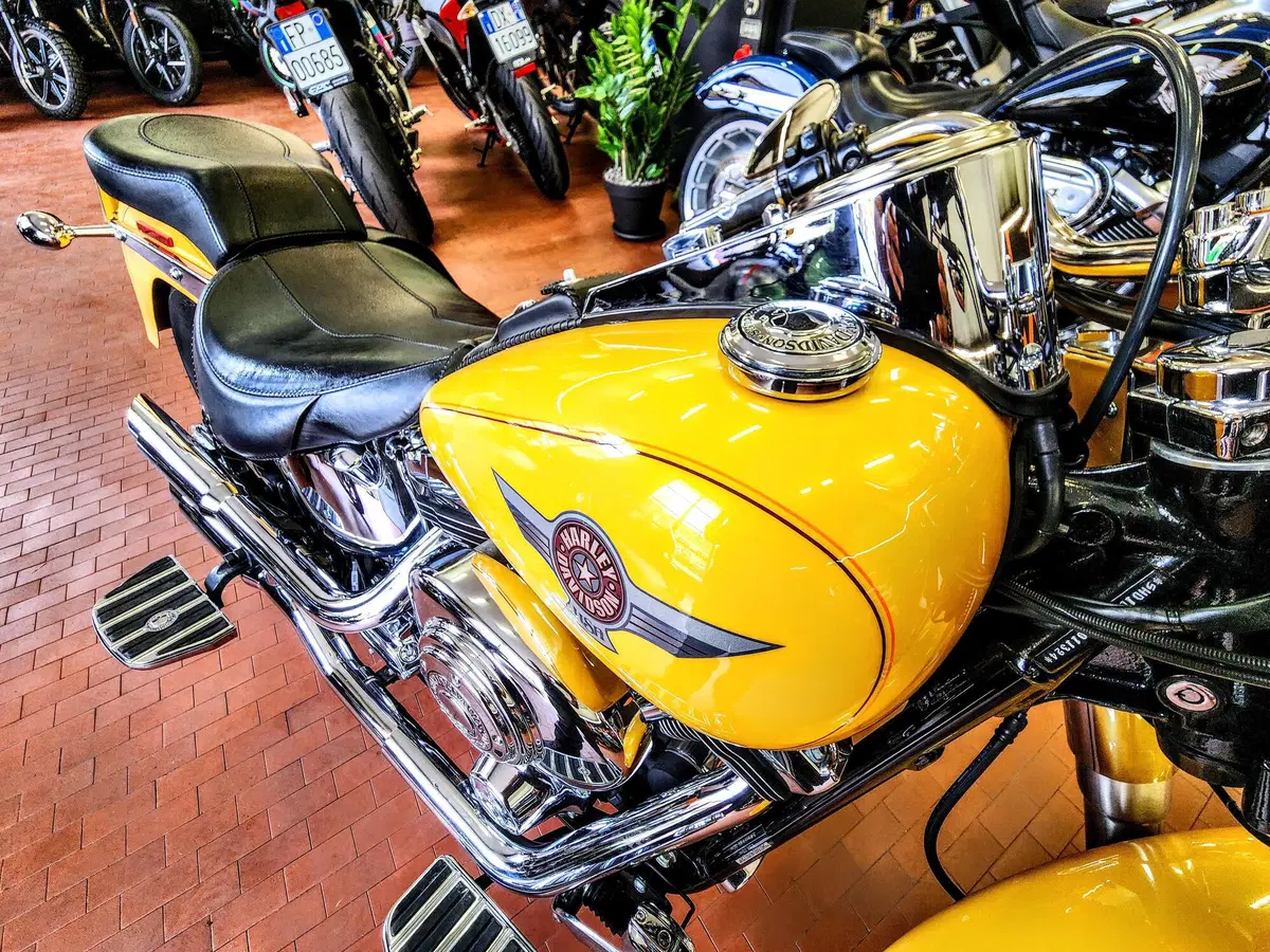 Harley-Davidson 1584 Fat Boy (2006 - 07) - FLSTF (16)