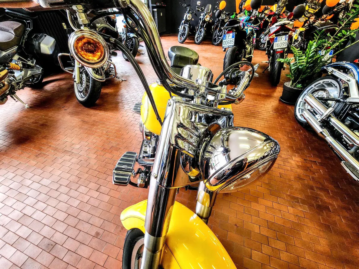 Harley-Davidson 1584 Fat Boy (2006 - 07) - FLSTF (17)