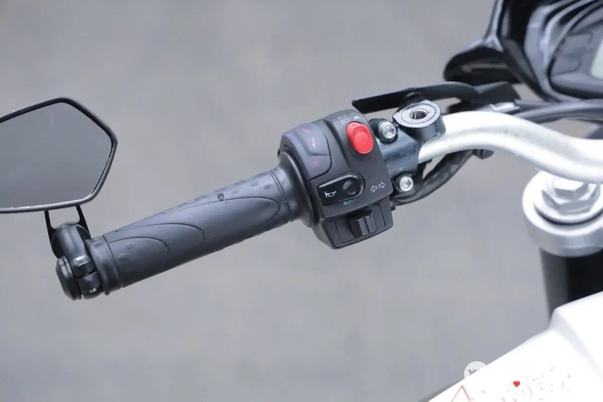 MV Agusta Brutale 800 EAS (2012 - 14) (11)