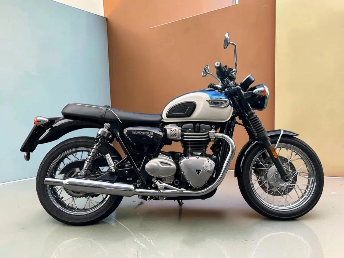 Triumph Bonneville T100 (2017 - 20)