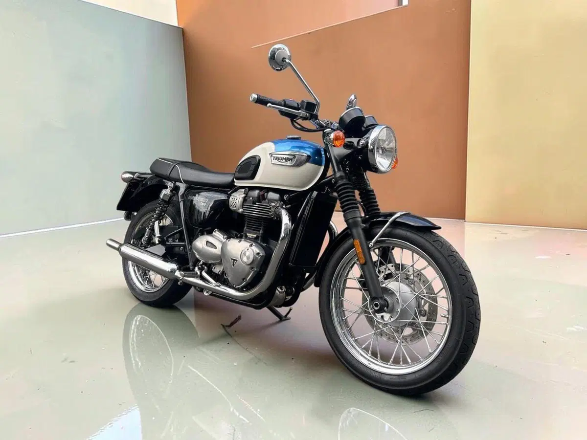 Triumph Bonneville T100 (2017 - 20) (2)