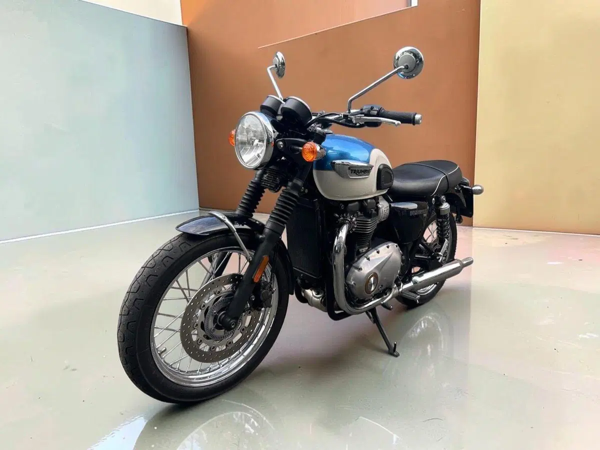 Triumph Bonneville T100 (2017 - 20) (3)