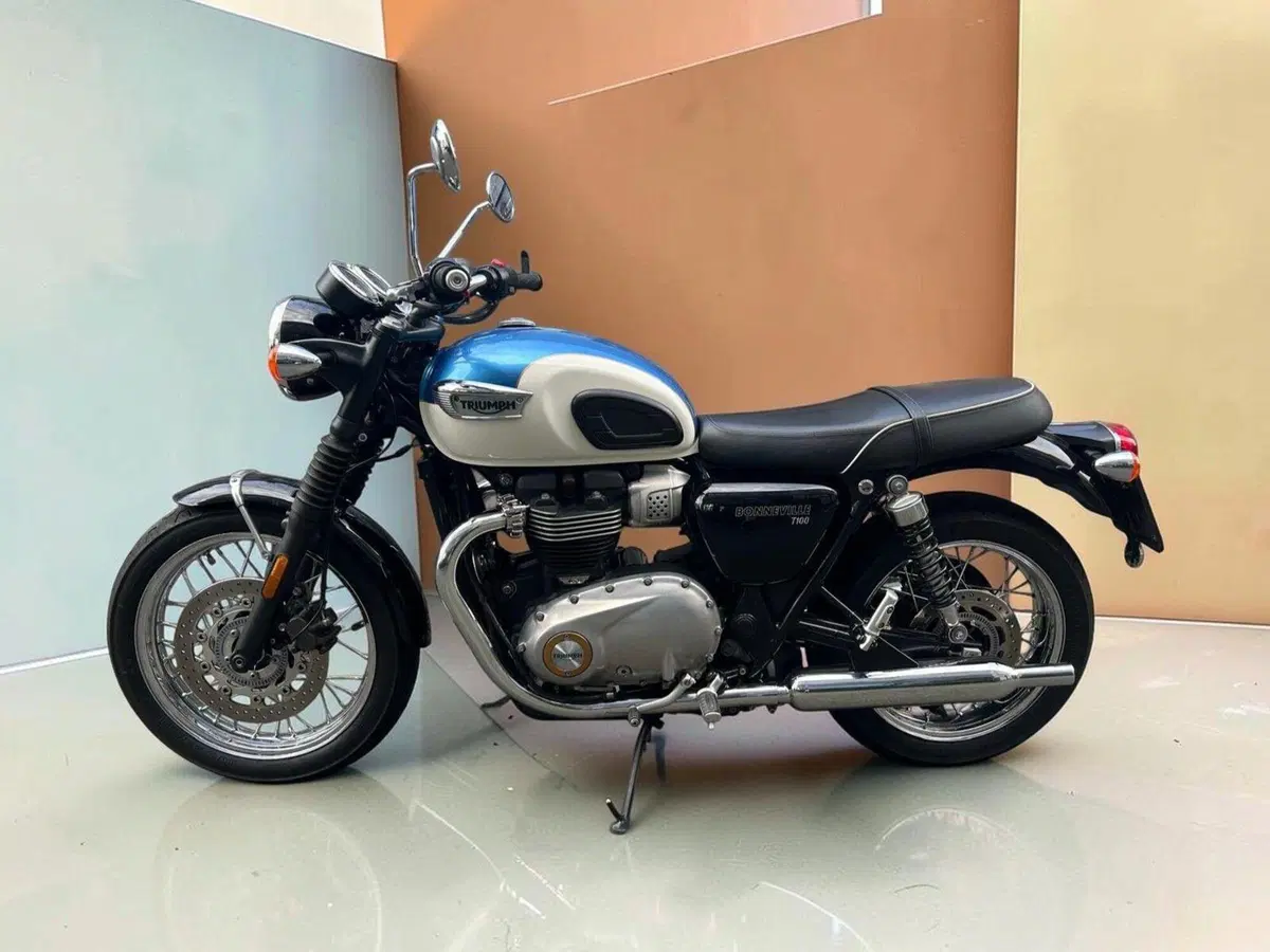 Triumph Bonneville T100 (2017 - 20) (4)