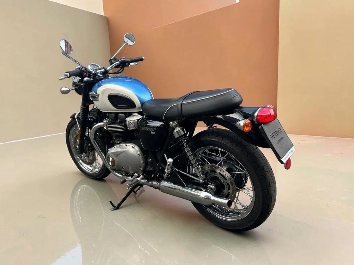 Triumph Bonneville T100 (2017 - 20) (7)