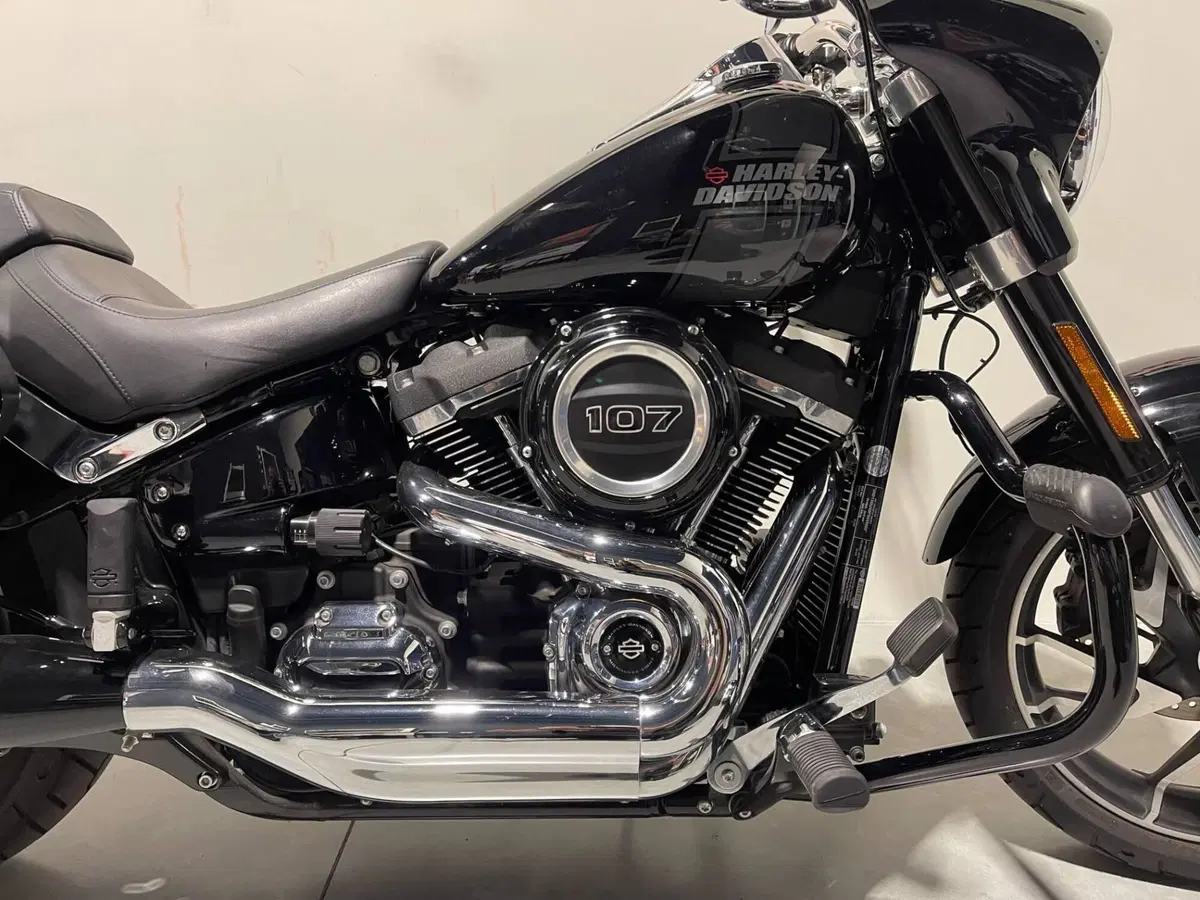 Harley-Davidson Sport Glide (2021 - 25) (3)