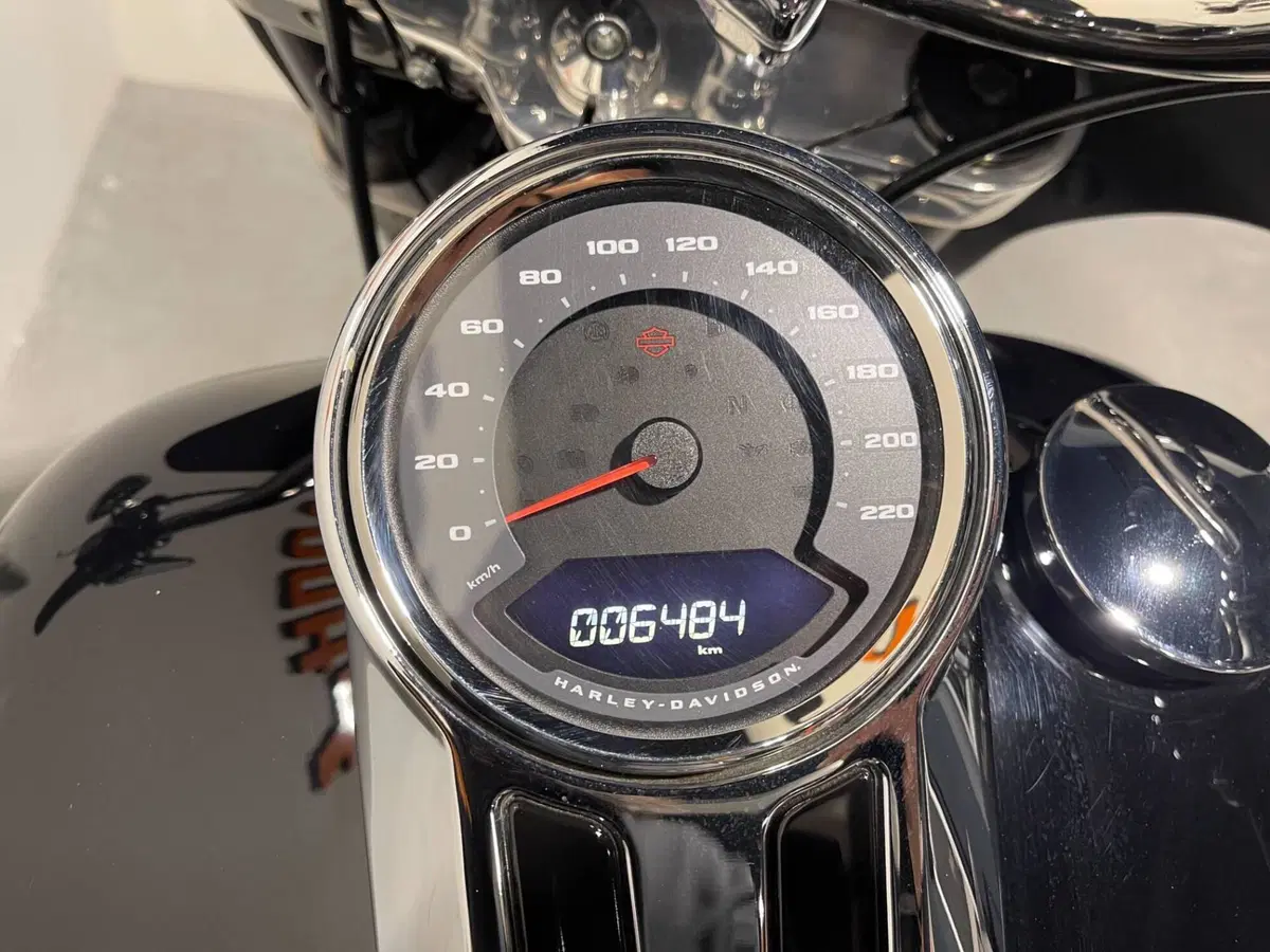 Harley-Davidson Sport Glide (2021 - 25) (6)