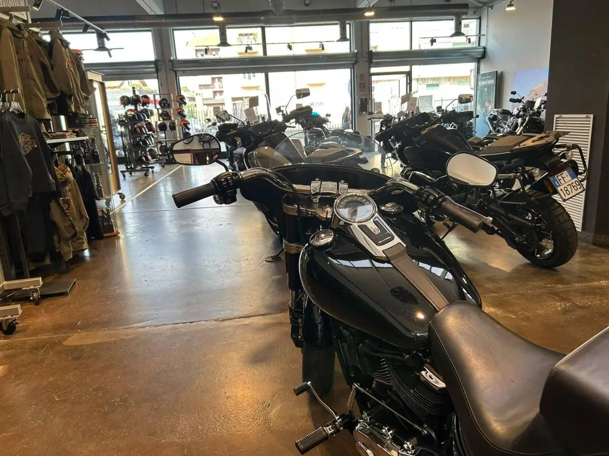 Harley-Davidson 107 Sport Glide (2018 - 20) (6)