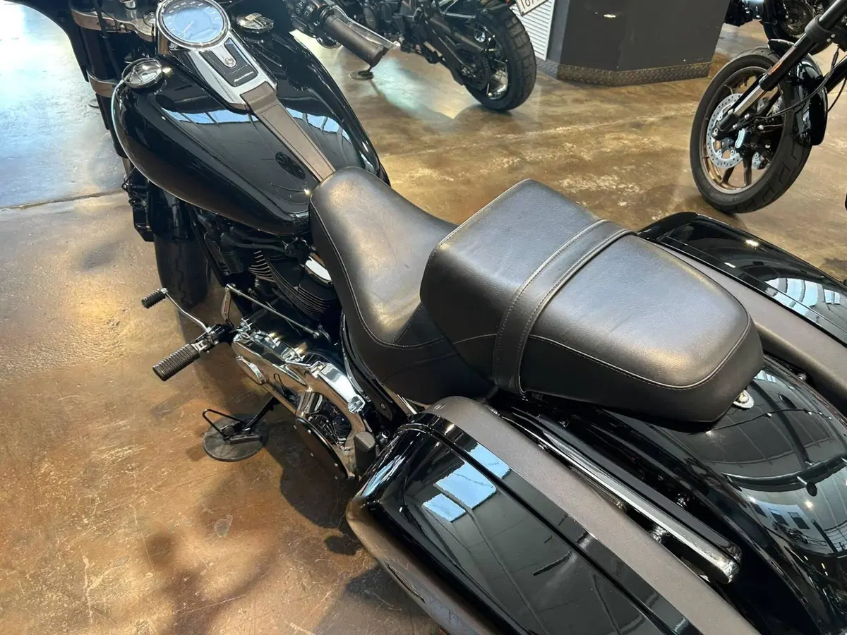 Harley-Davidson 107 Sport Glide (2018 - 20) (7)