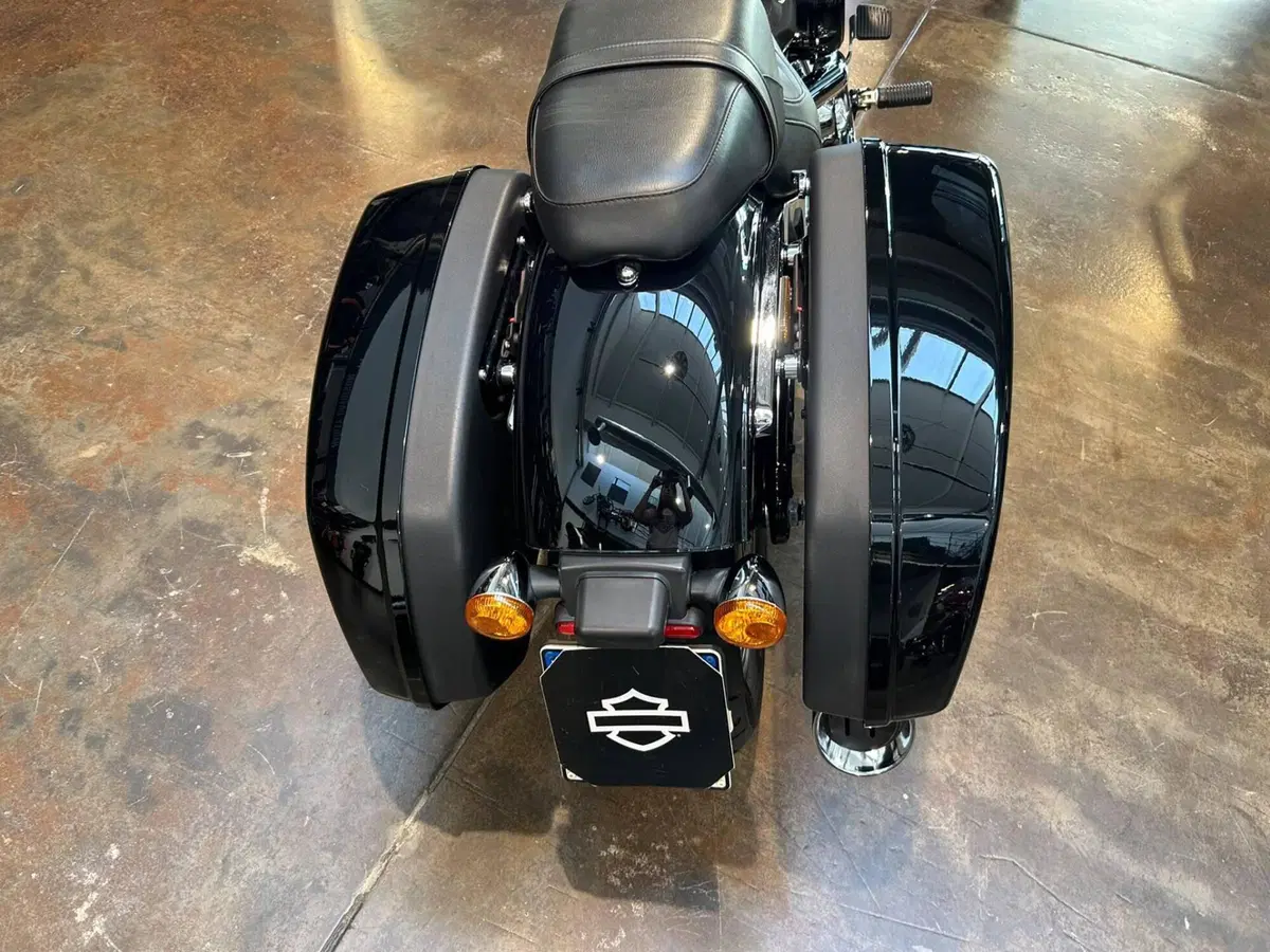 Harley-Davidson 107 Sport Glide (2018 - 20) (8)