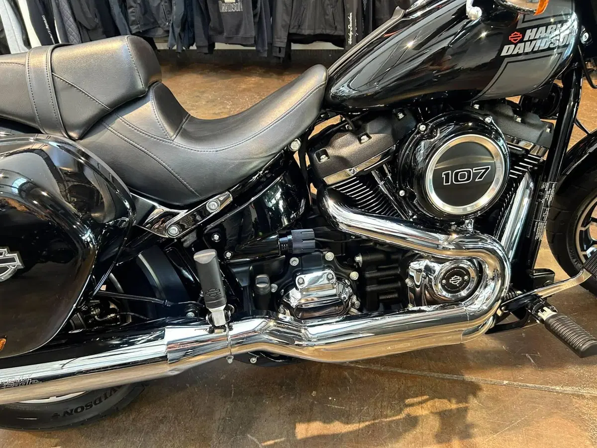 Harley-Davidson 107 Sport Glide (2018 - 20) (12)