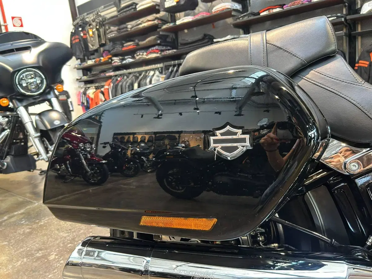 Harley-Davidson 107 Sport Glide (2018 - 20) (13)