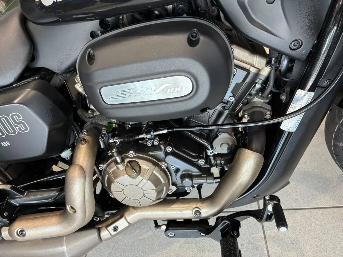 QJ Motor SRV 300 (2023 - 25) (4)
