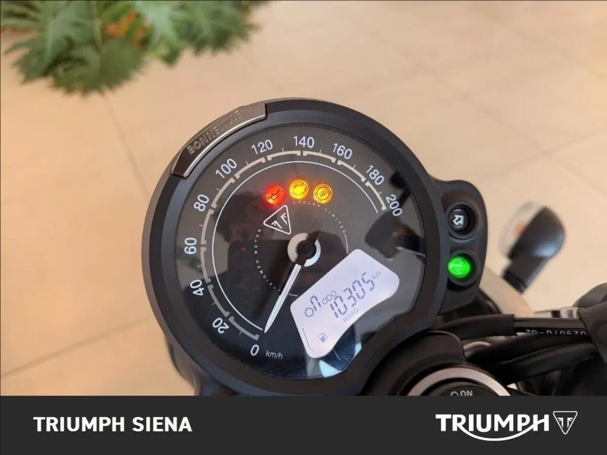 Triumph Speed Twin 900 (2025 - 26) (6)
