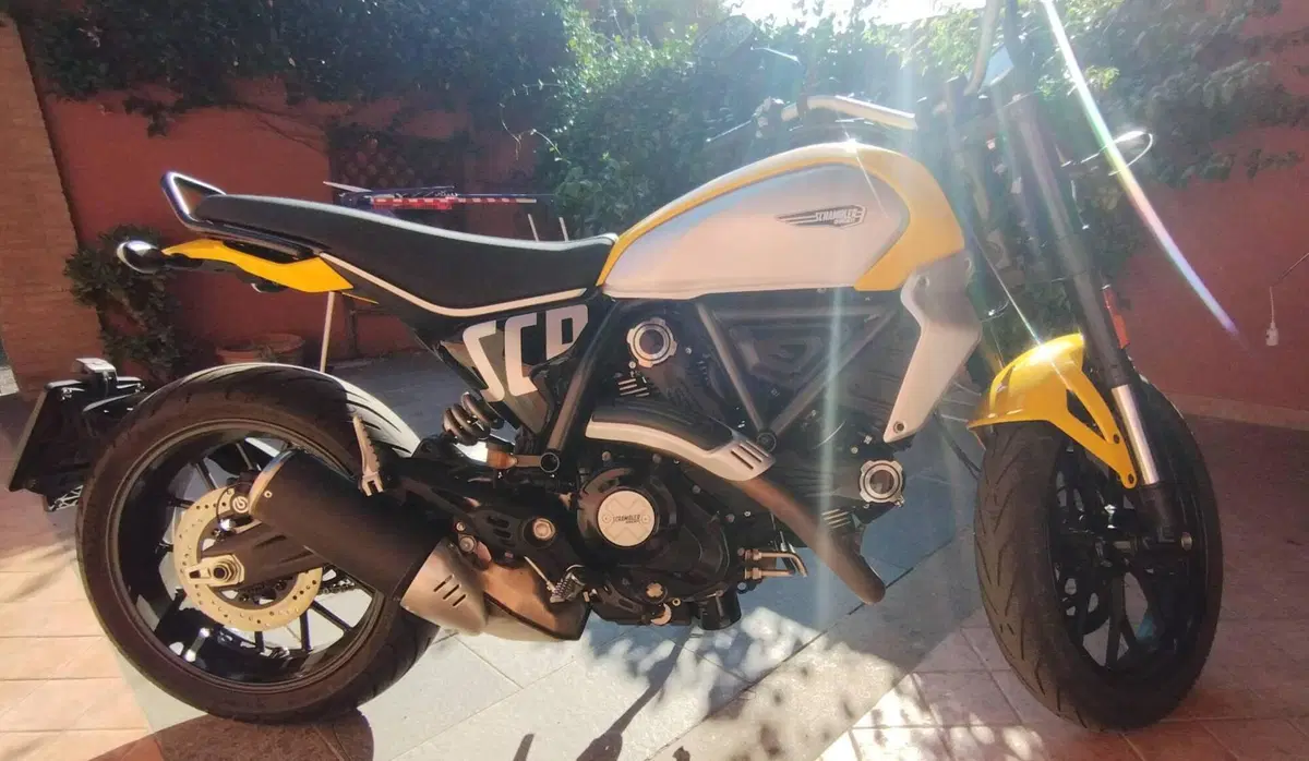 Ducati Scrambler 800 Icon (2025 - 26)
