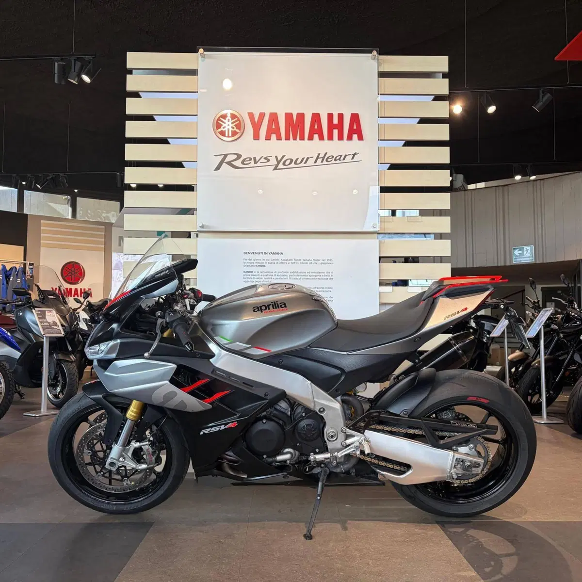 Aprilia RSV4 1100 (2021 - 24) (8)