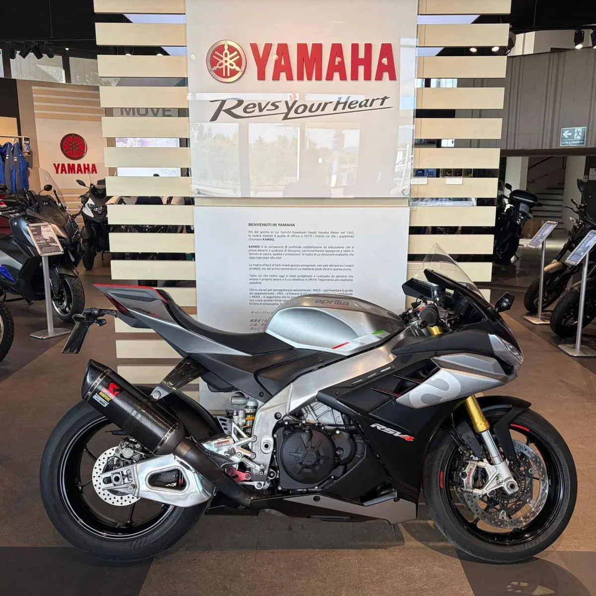 Aprilia RSV4 1100 (2021 - 24)