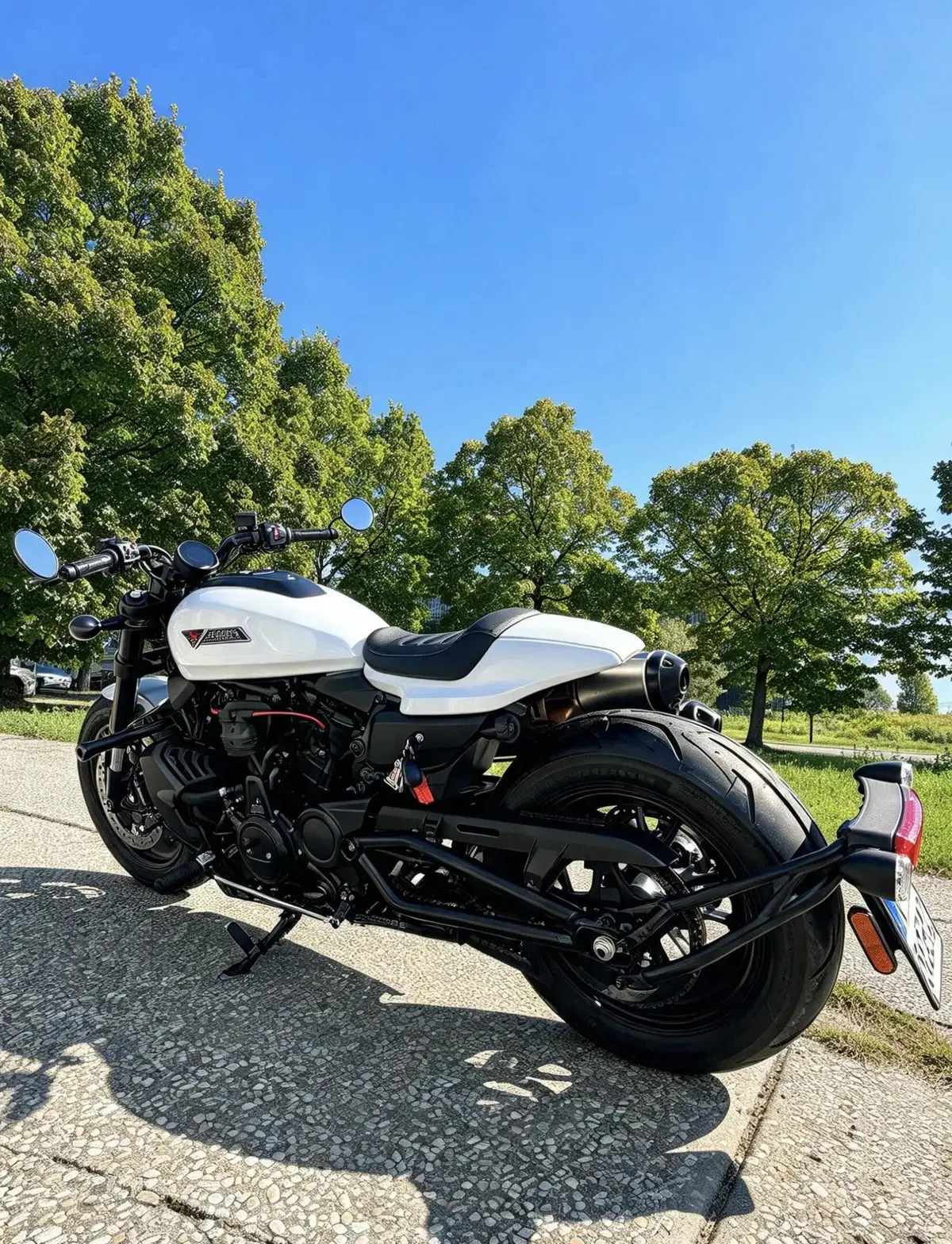 Harley-Davidson Sportster S (2025 - 26) (2)