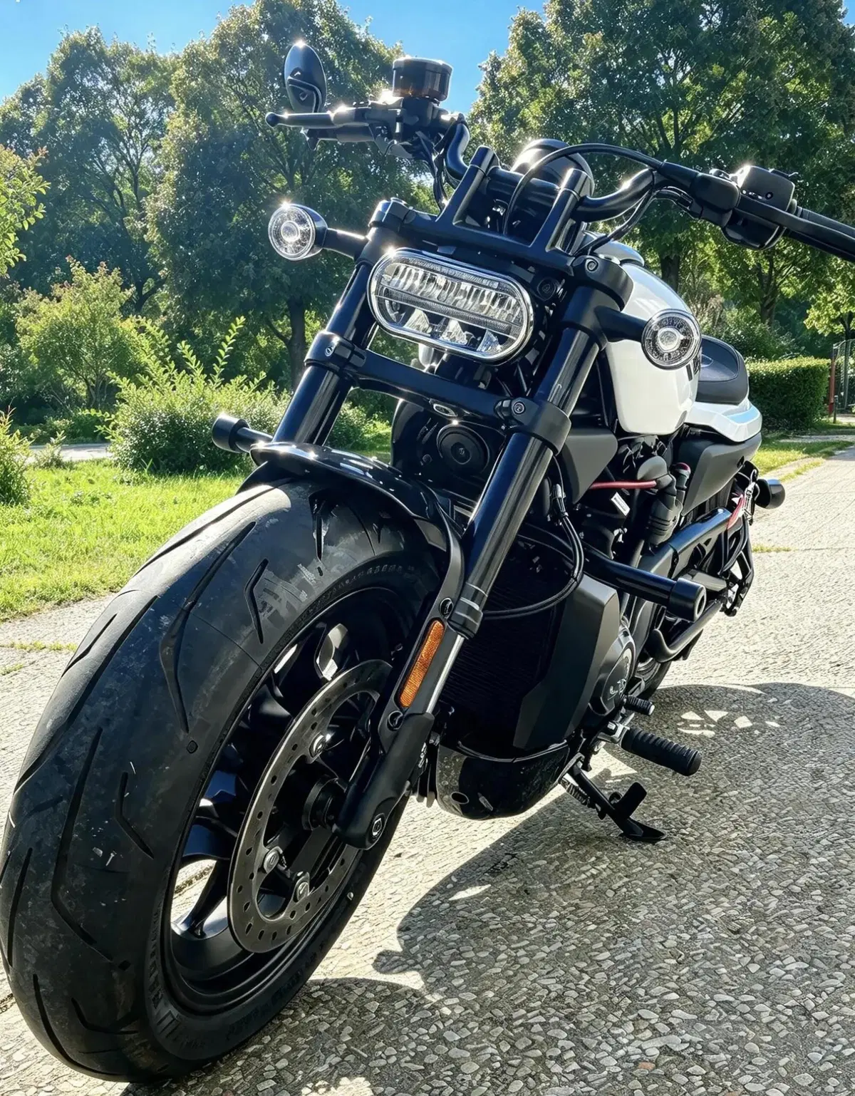 Harley-Davidson Sportster S (2025 - 26) (4)