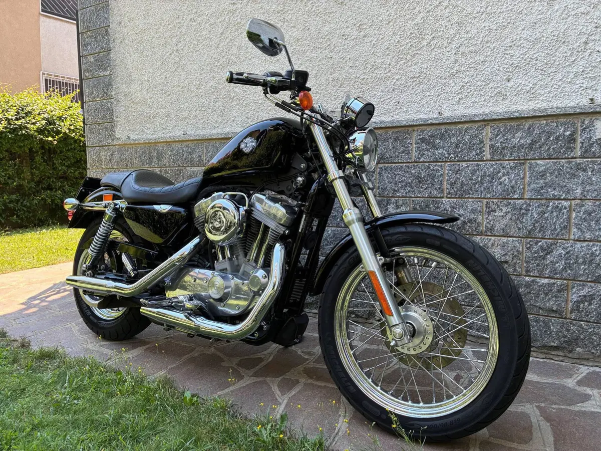 Harley-Davidson 883 (2008 - 09) - XL (2)