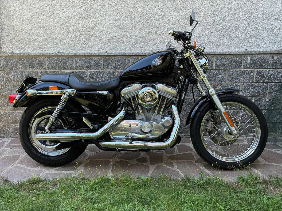 Harley-Davidson 883 (2008 - 09) - XL (3)