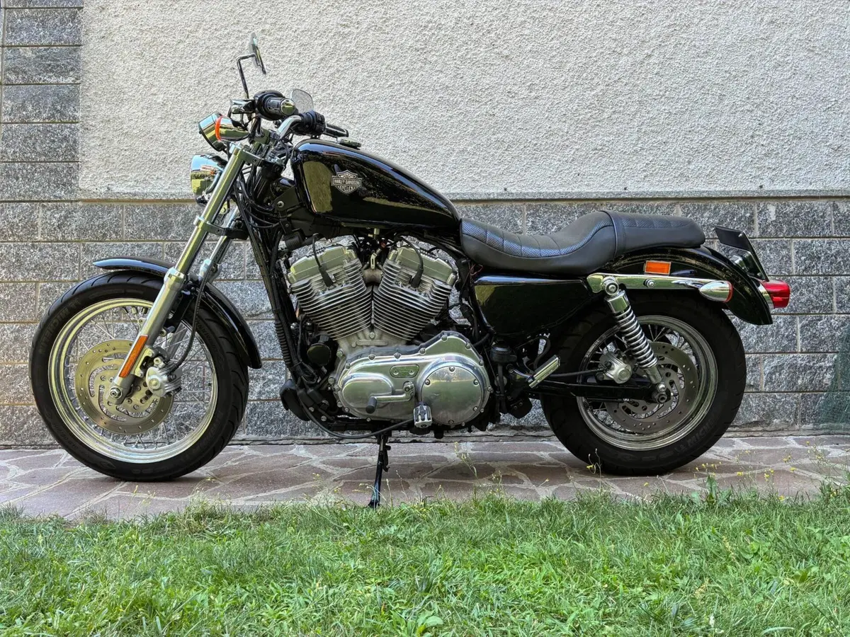 Harley-Davidson 883 (2008 - 09) - XL (4)