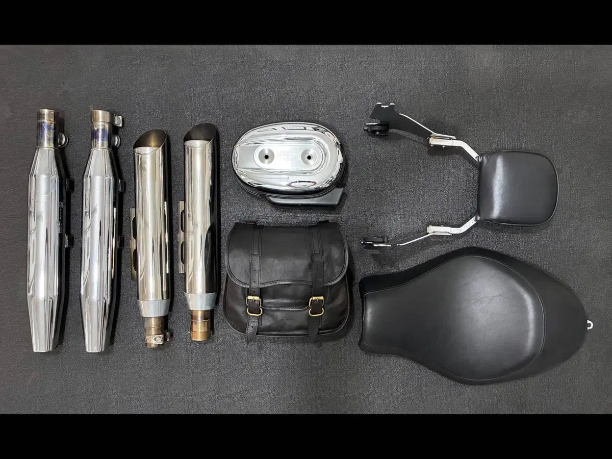 Harley-Davidson 883 (2008 - 09) - XL (6)