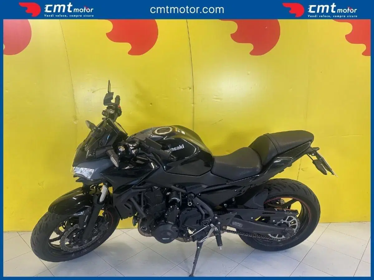 Kawasaki Z 650 (2021 - 24) (9)
