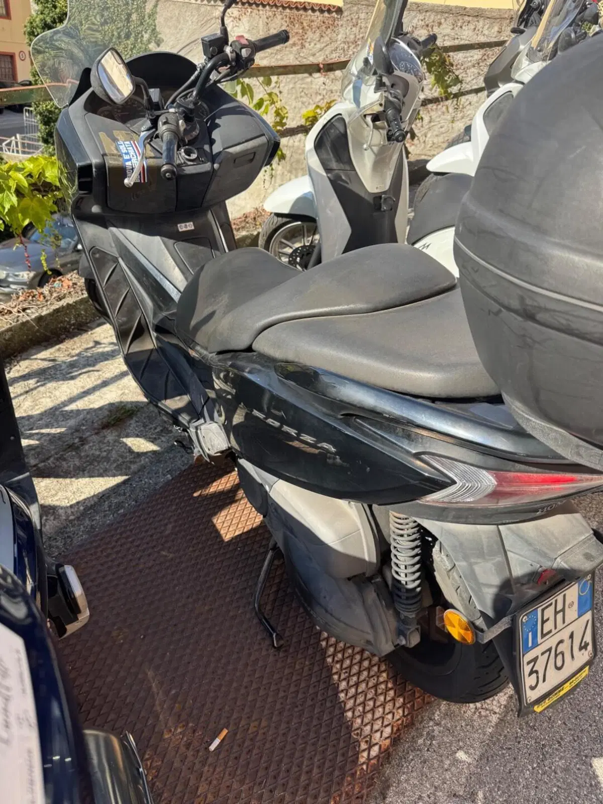 Honda Forza 300 ABS (2013 - 17) (2)