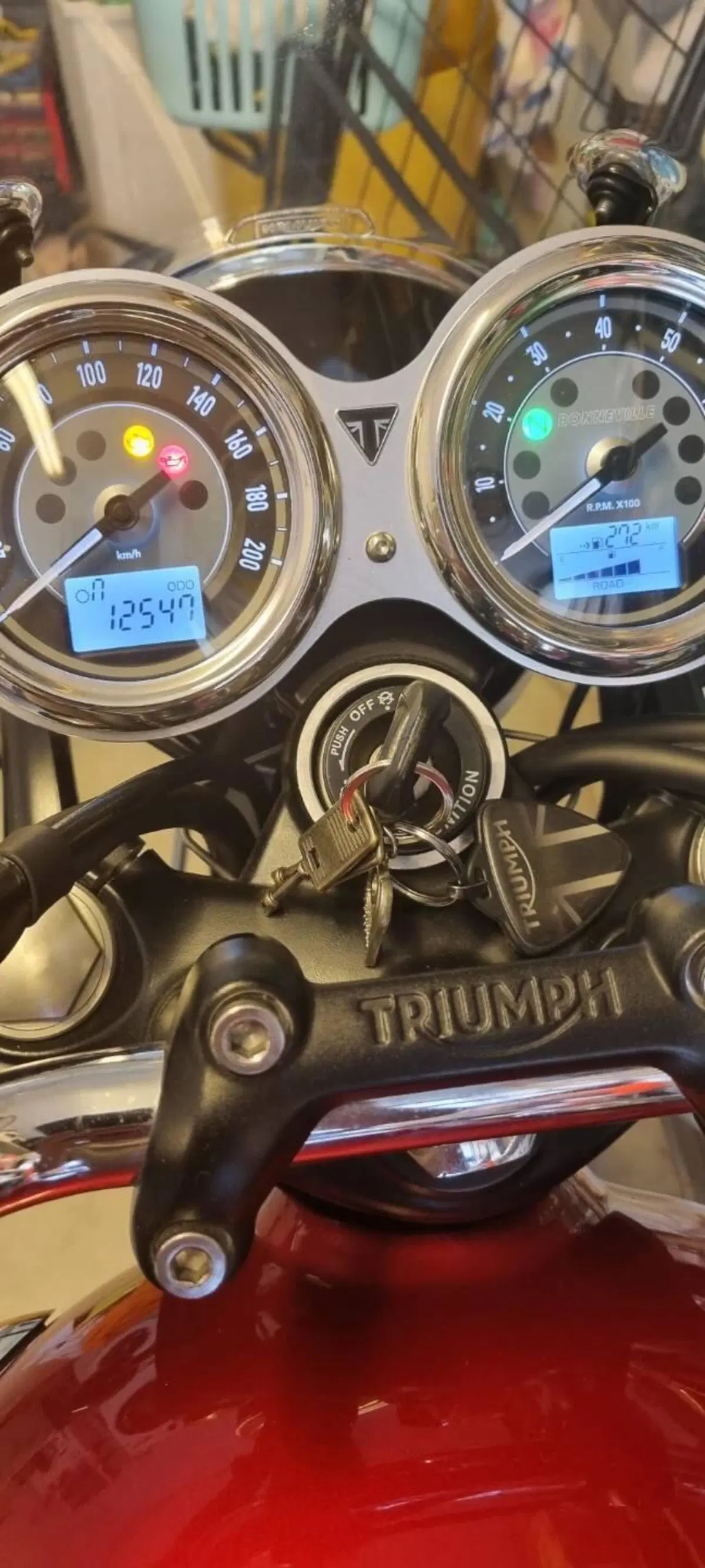 Triumph Bonneville T100 (2021 - 25) (3)