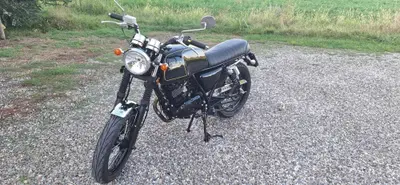 Mash Italia Black Seven 125 (2021 - 25) usata