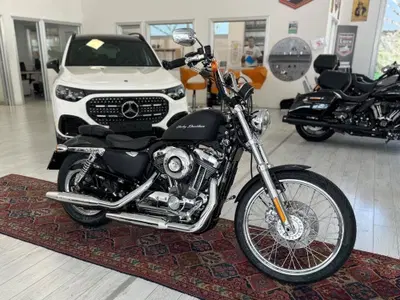 Harley-Davidson 1200 Seventy-Two (2011 - 16) usata