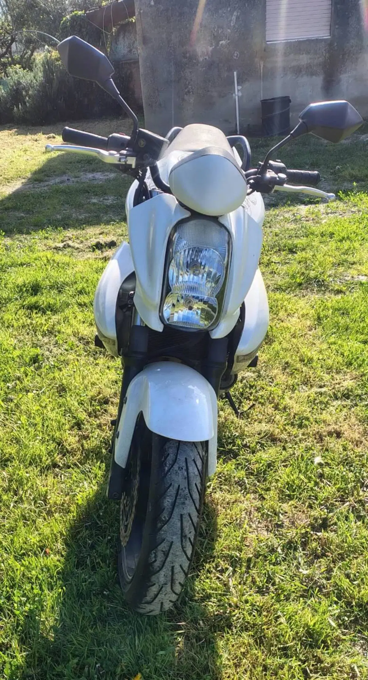 Kawasaki ER-6N (2005 - 08) (2)