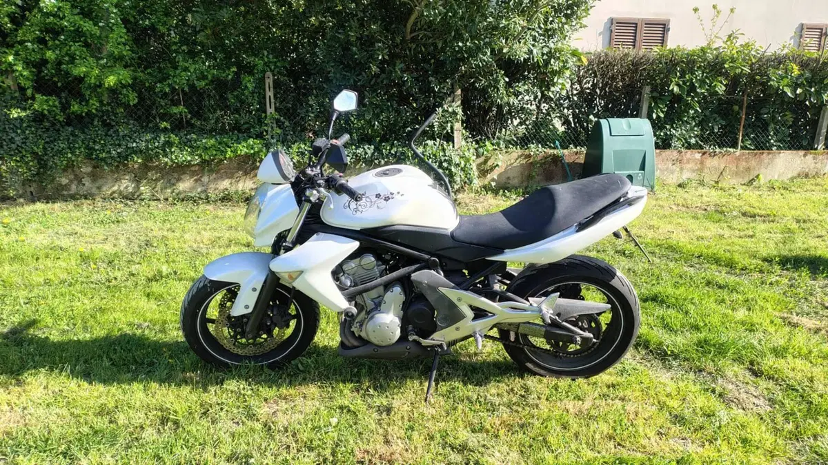 Kawasaki ER-6N (2005 - 08) (3)